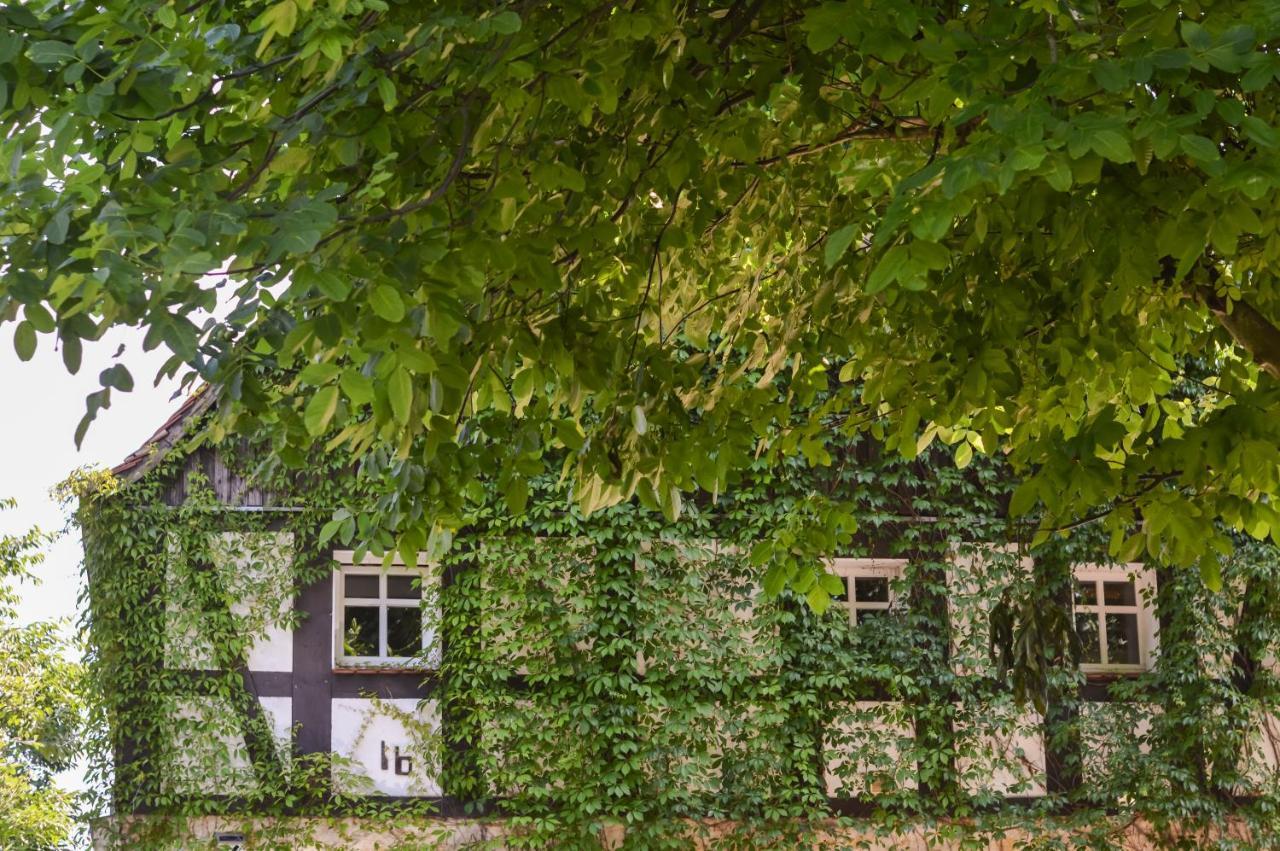 Naturferienwohnung Schopstal Kunnersdorf Exterior foto